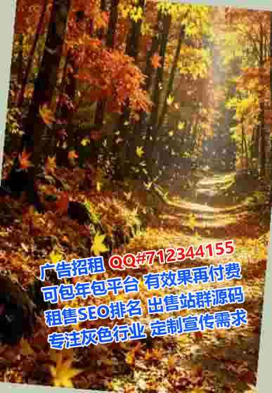 海伦代妈翻译经营部